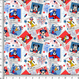 Mouse Pictures ~ 4th of July   - RTS