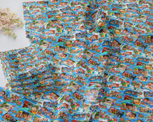 Load image into Gallery viewer, Coco Watermelon  Squares  RTS
