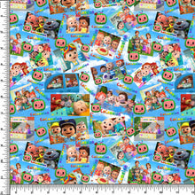 Load image into Gallery viewer, Coco Watermelon  Squares  RTS
