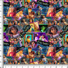 Load image into Gallery viewer, Encanto  - RTS
