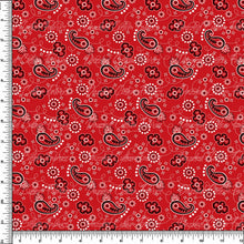 Load image into Gallery viewer, Red Bandanna - RTS
