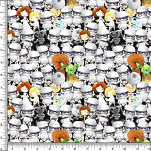 Load image into Gallery viewer, Hidden in the Troopers    RTS
