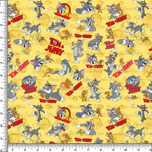 Load image into Gallery viewer, Cat and Mouse - RTS
